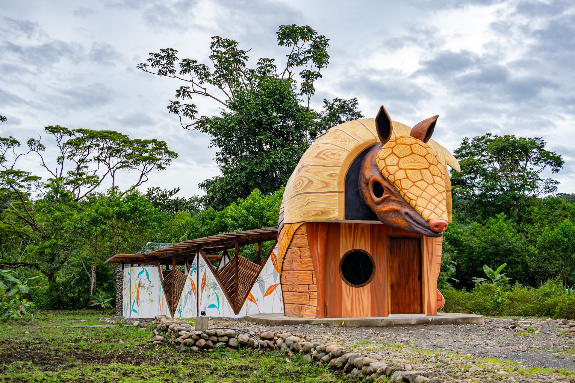 Armadillo