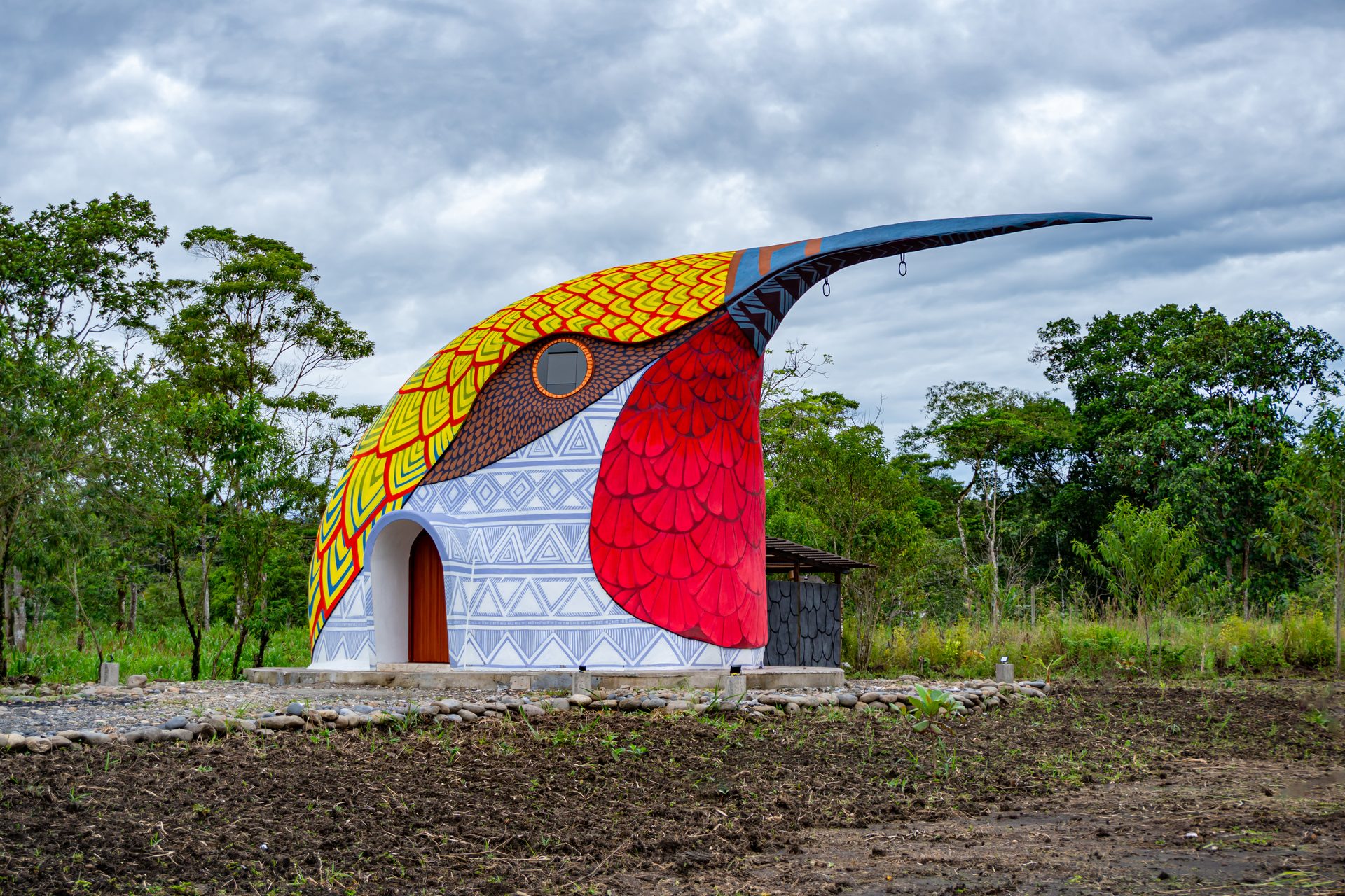 Colibrí
